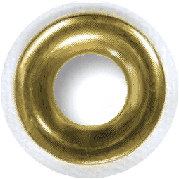 Golden circular object with white rim