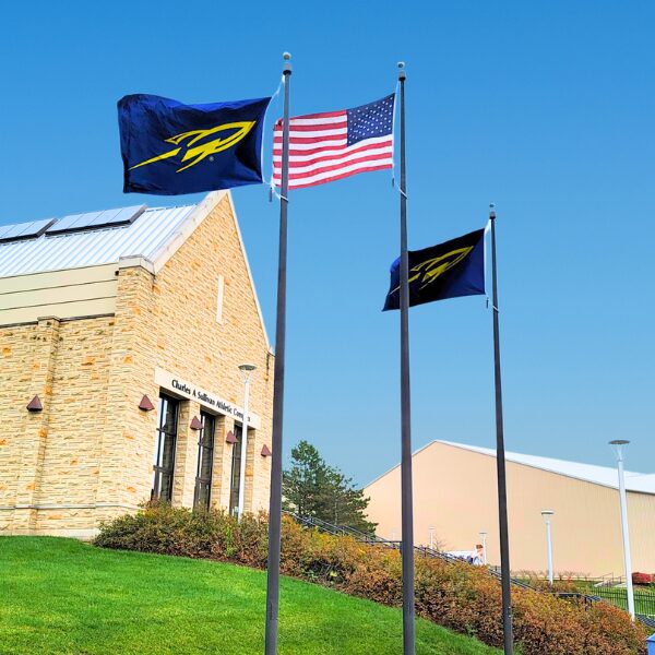 Flags waving outside a brick building