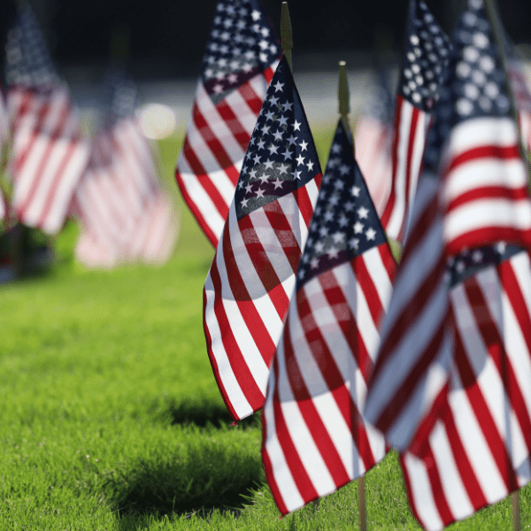 Rows of small American flags on grass