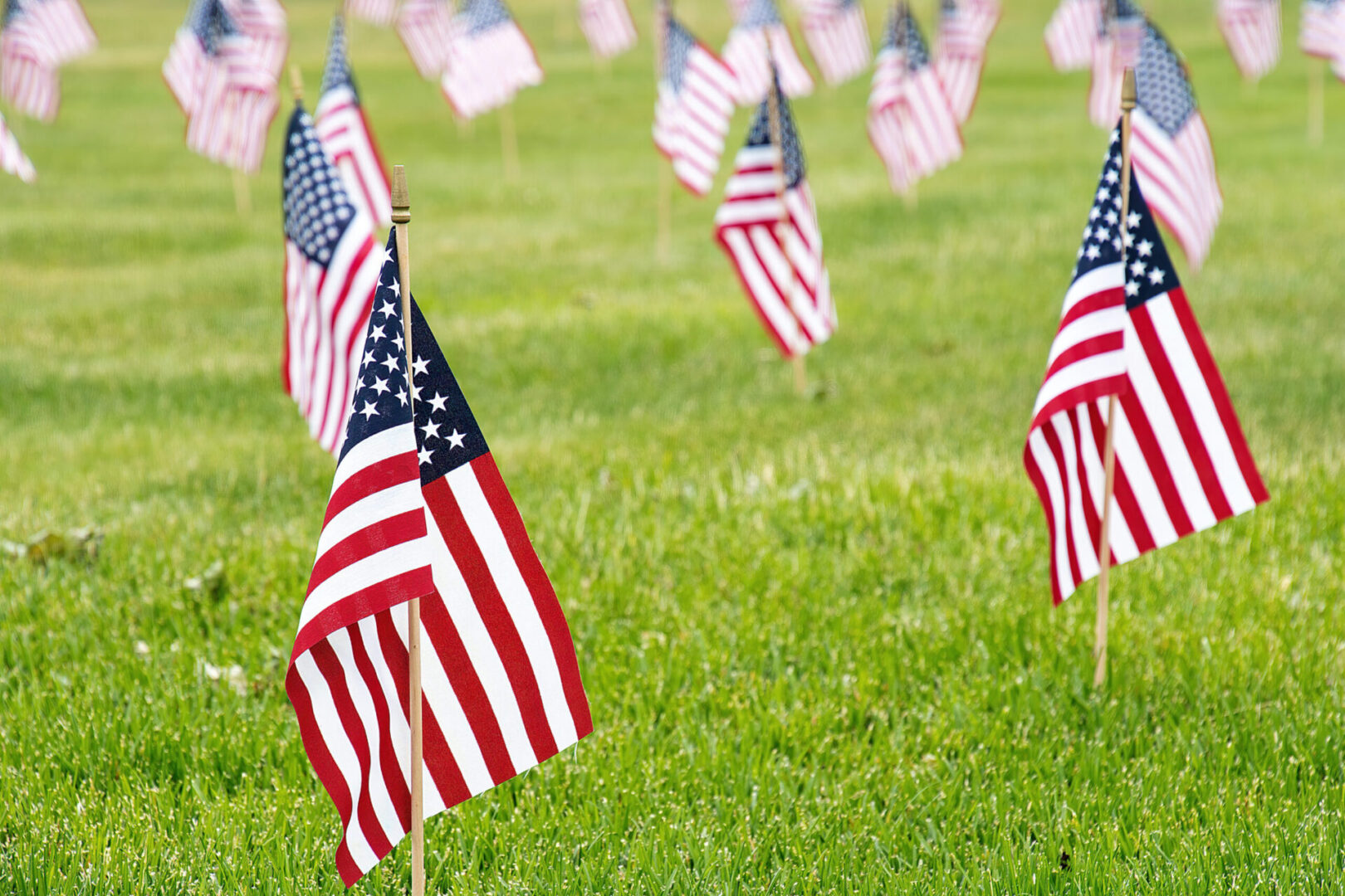 Small American flags planted in grassy field